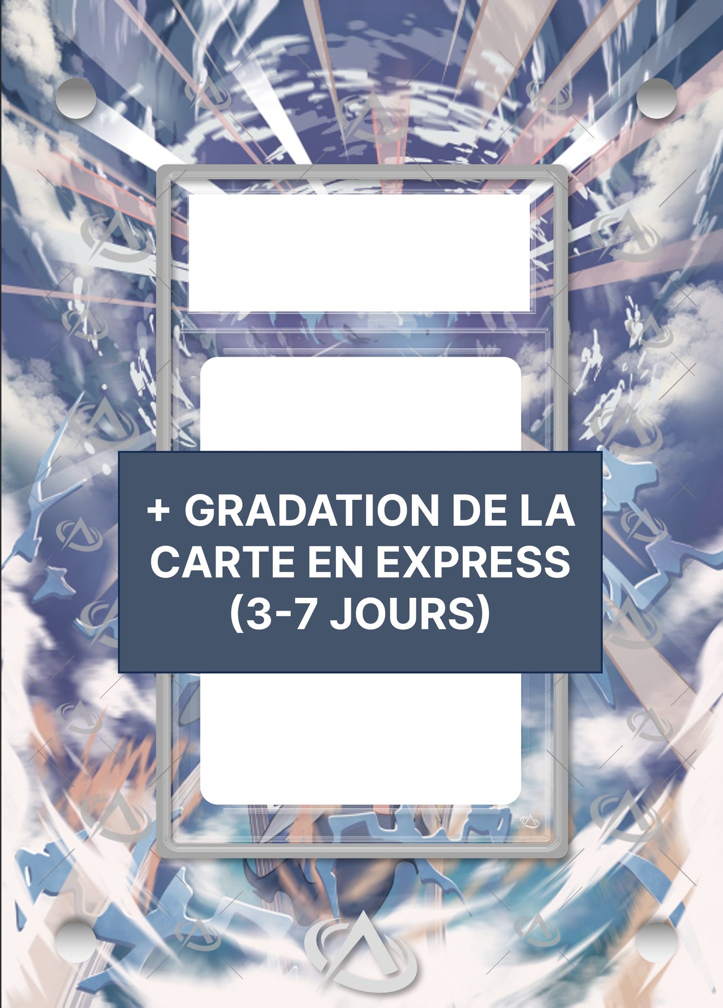 BUNDLE : Cadre Reshiram AR + Certification Express (3-7 jours)