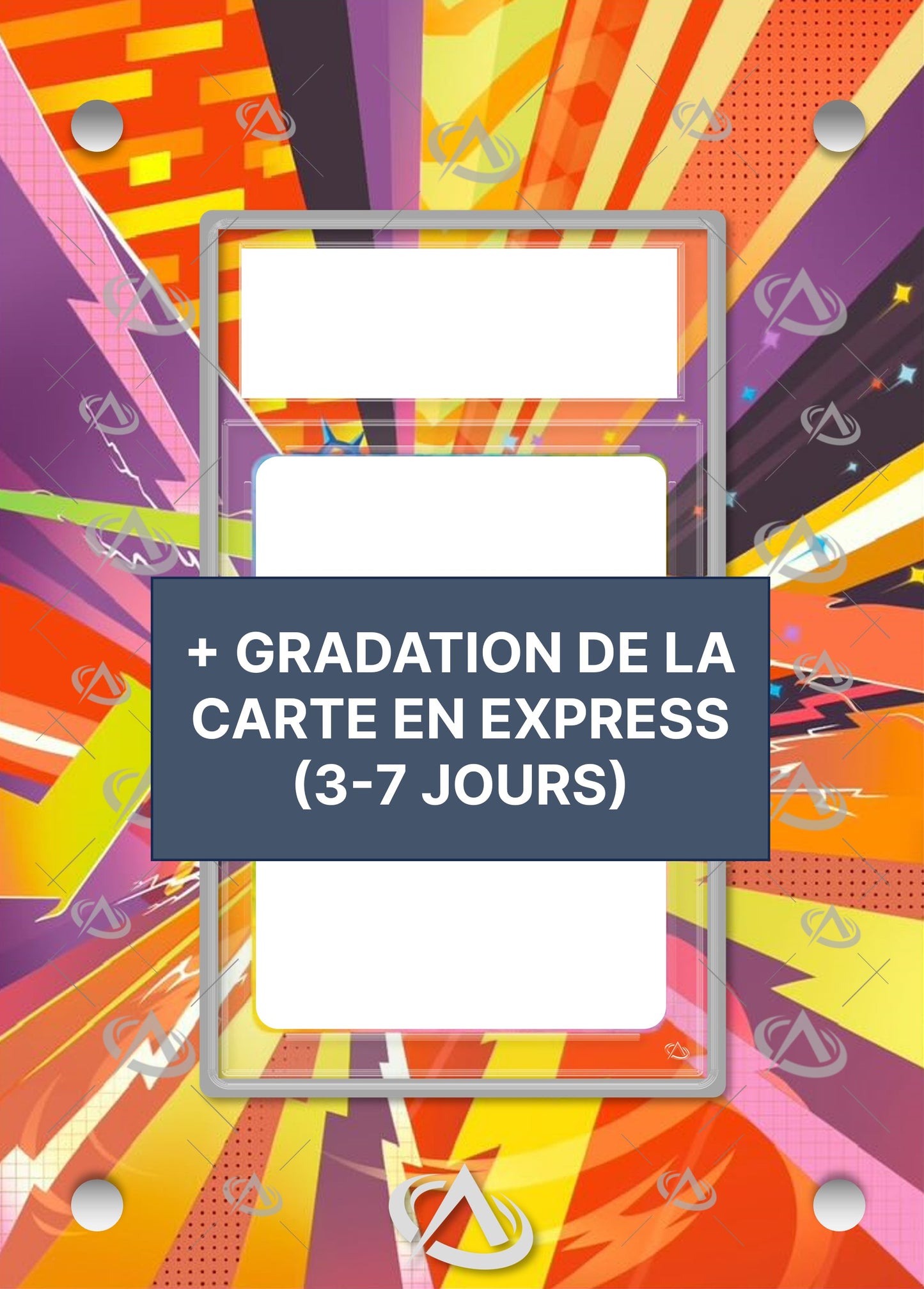 BUNDLE : Cadre Voltali SAR 8.5 + Certification Express (3-7 jours)