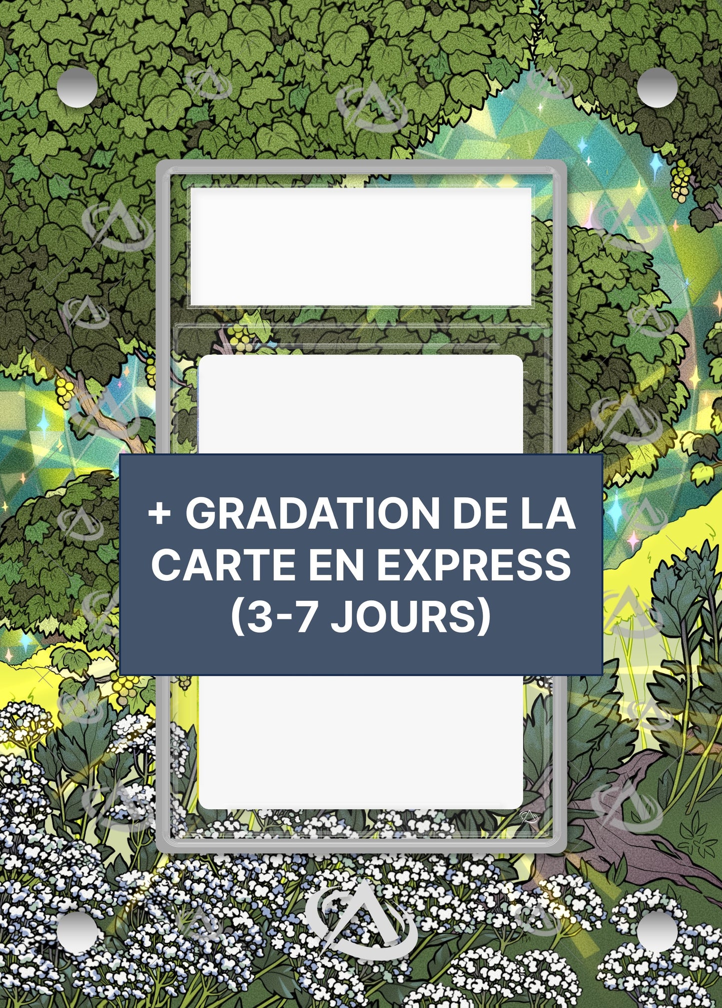 BUNDLE : Cadre Phyllali SAR 8.5 + Certification Express (3-7 jours)