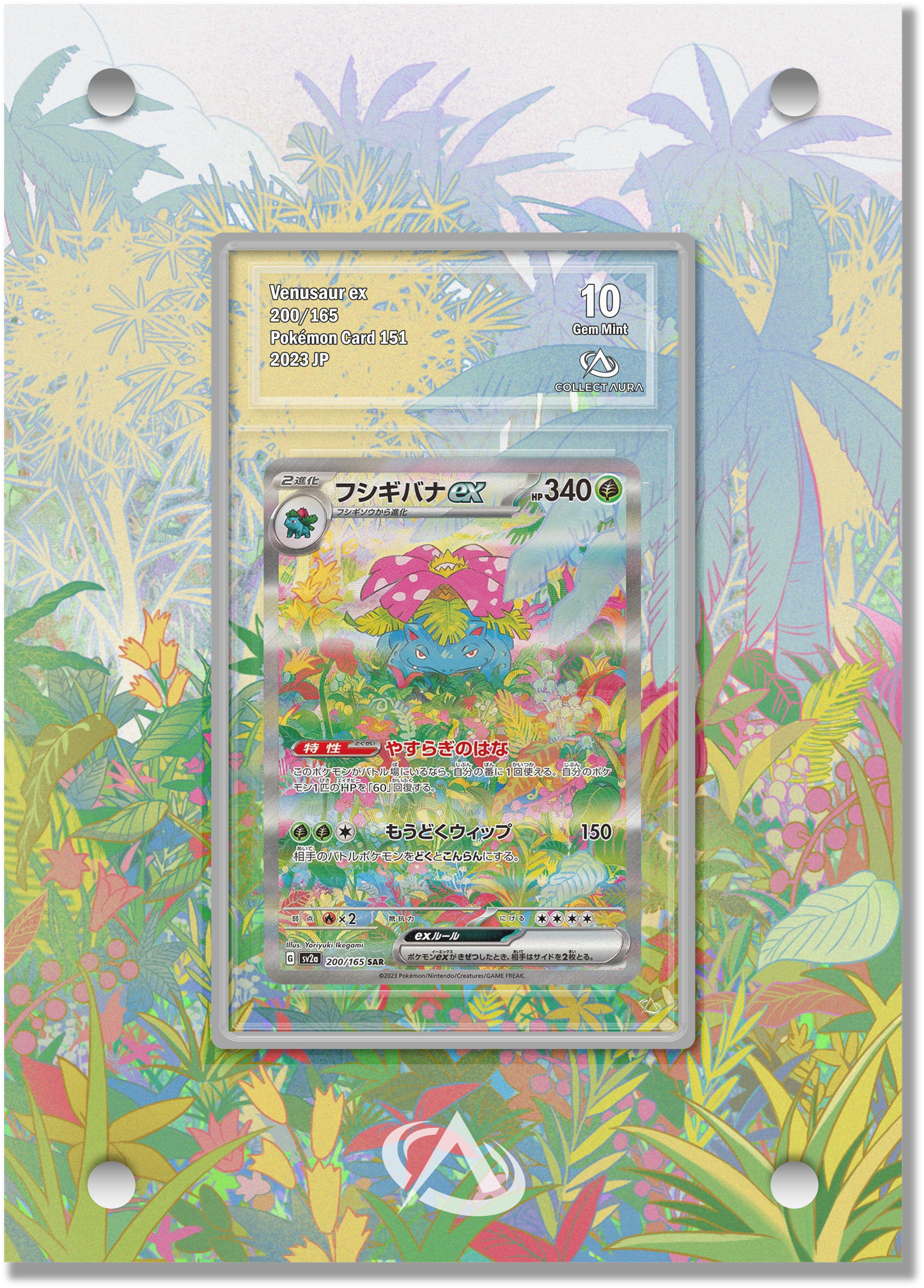 Cadre & illustration Plante #3