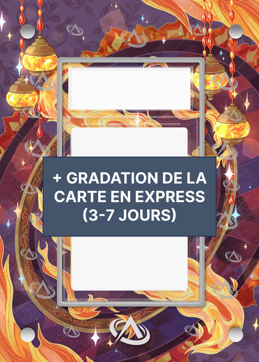 BUNDLE : Cadre Pyroli SAR + Certification Express (3-7 jours)