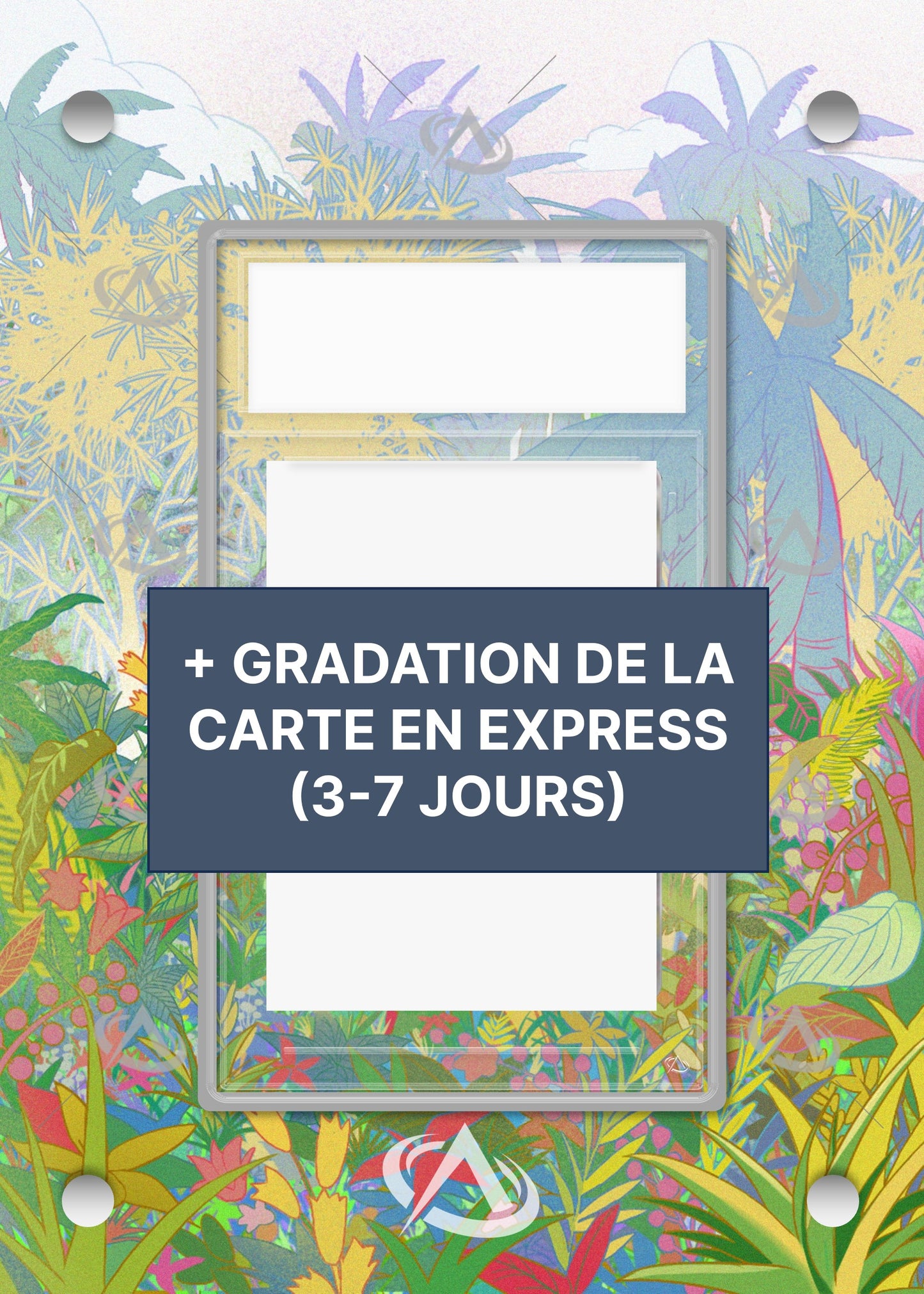 BUNDLE : Cadre Plante#3 + Certification Express (3-7 jours)